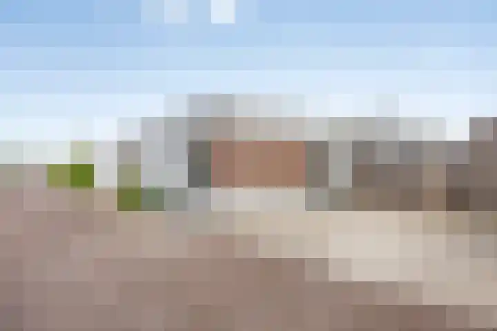 Fluitenkruid 19 Berghem thumbnail 27