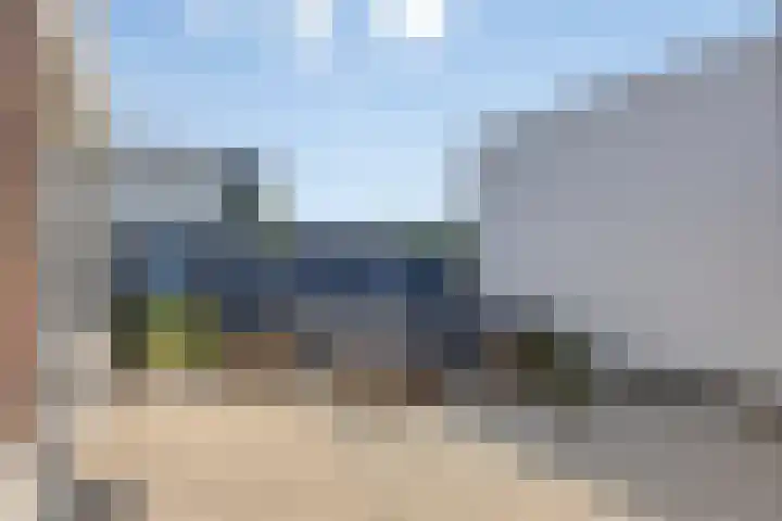Fluitenkruid 19 Berghem thumbnail 4