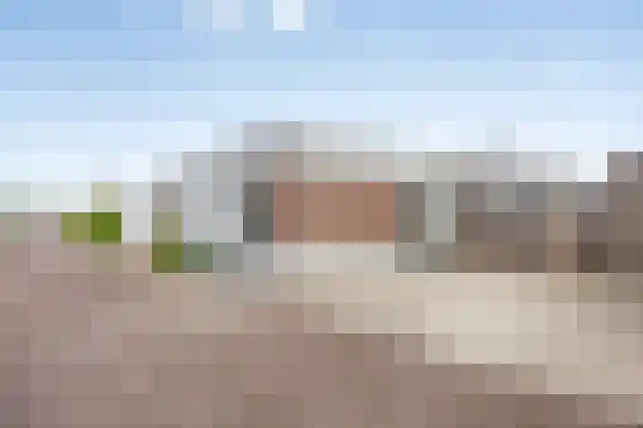 Fluitenkruid 19 Berghem thumbnail 5