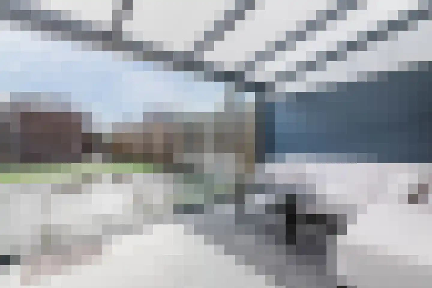 Fluitenkruid 23 Gorinchem thumbnail 10