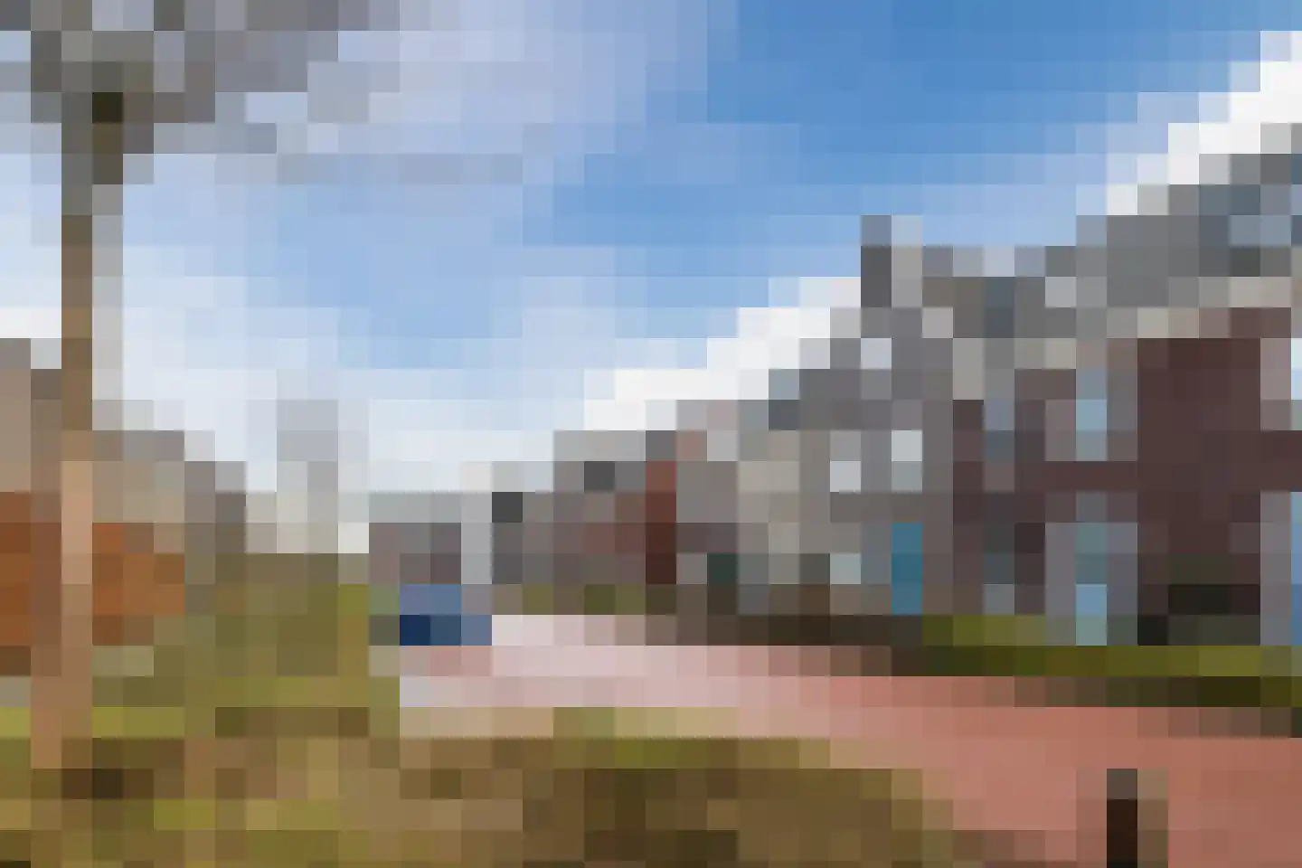 Fluitenkruid 23 Gorinchem thumbnail 24