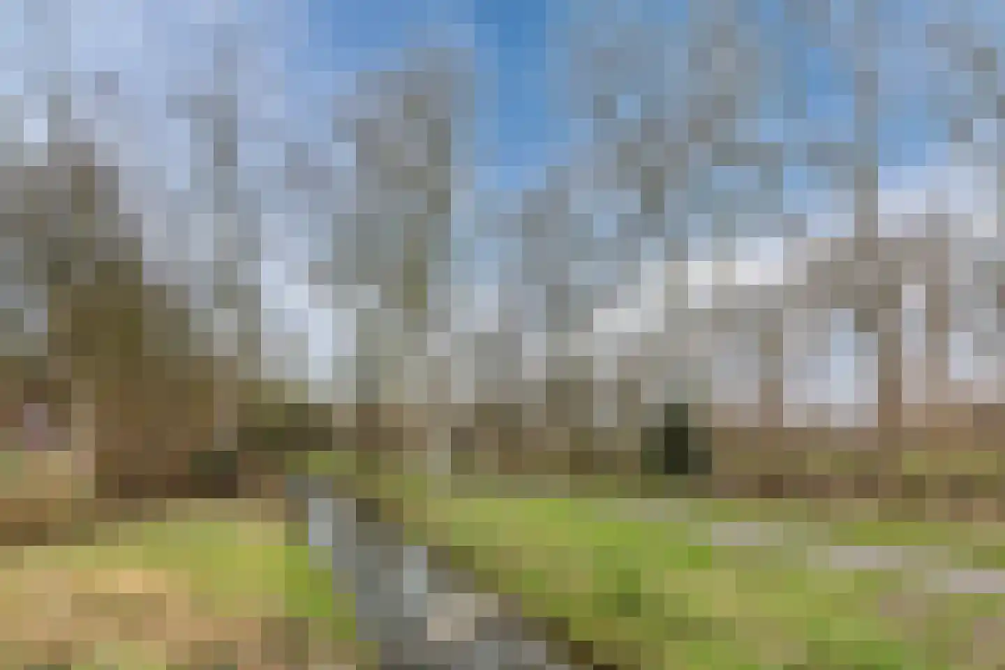 Fluitenkruid 23 Gorinchem thumbnail 25