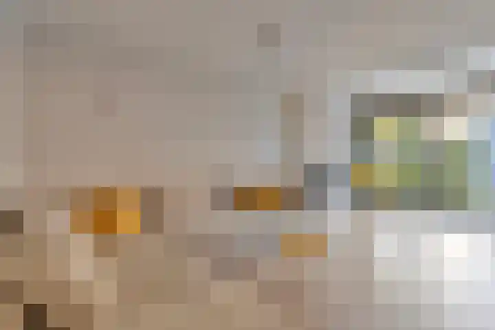 Fluitenkruid 26 's-Hertogenbosch thumbnail 11