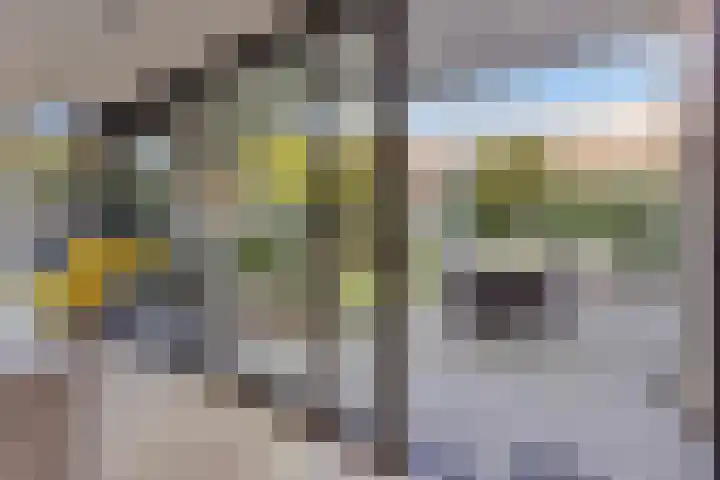 Fluitenkruid 26 's-Hertogenbosch thumbnail 13