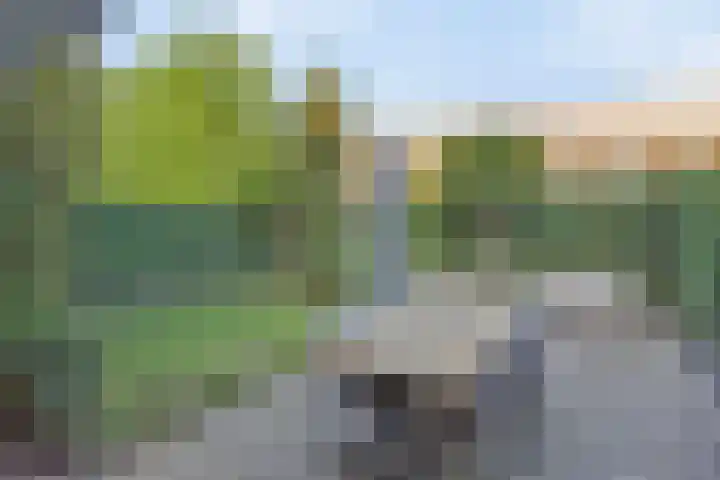 Fluitenkruid 26 's-Hertogenbosch thumbnail 14