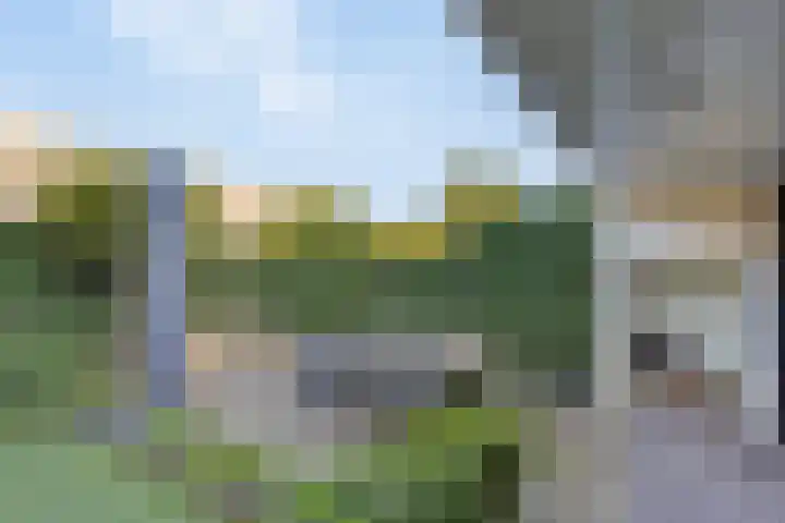 Fluitenkruid 26 's-Hertogenbosch thumbnail 15