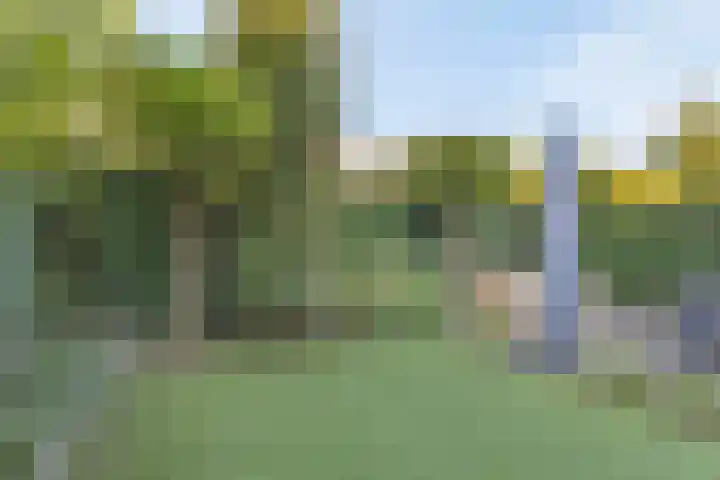 Fluitenkruid 26 's-Hertogenbosch thumbnail 16