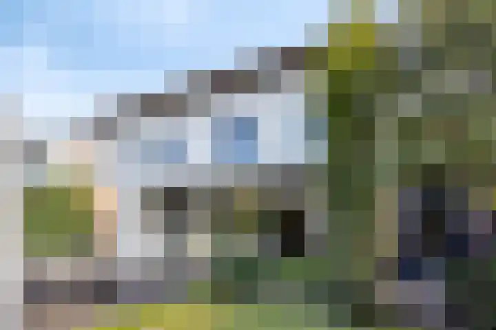 Fluitenkruid 26 's-Hertogenbosch thumbnail 17