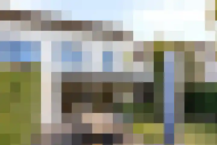 Fluitenkruid 26 's-Hertogenbosch thumbnail 18