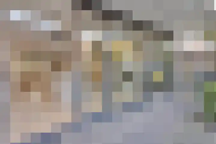 Fluitenkruid 26 's-Hertogenbosch thumbnail 19
