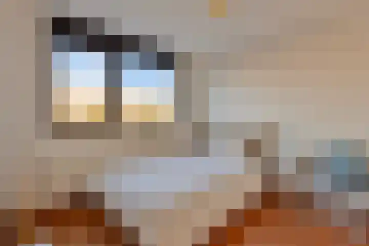 Fluitenkruid 26 's-Hertogenbosch thumbnail 23