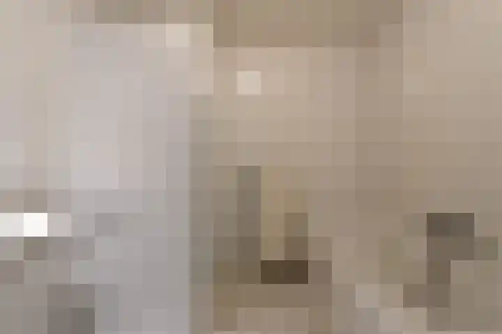 Fluitenkruid 26 's-Hertogenbosch thumbnail 27