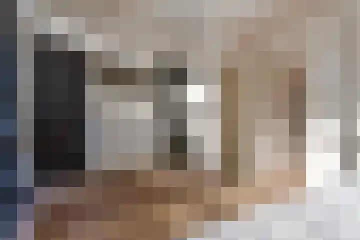 Fluitenkruid 26 's-Hertogenbosch thumbnail 30