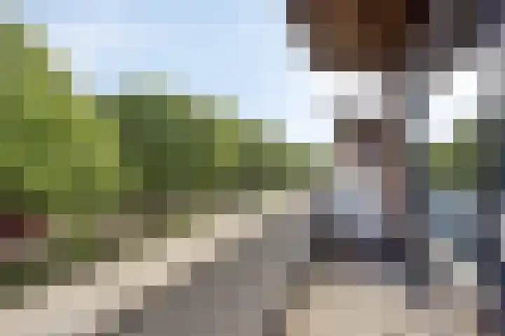 Fluitenkruid 26 's-Hertogenbosch thumbnail 32