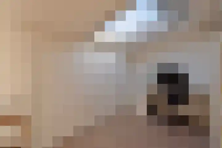 Fluitenkruid 26 's-Hertogenbosch thumbnail 34