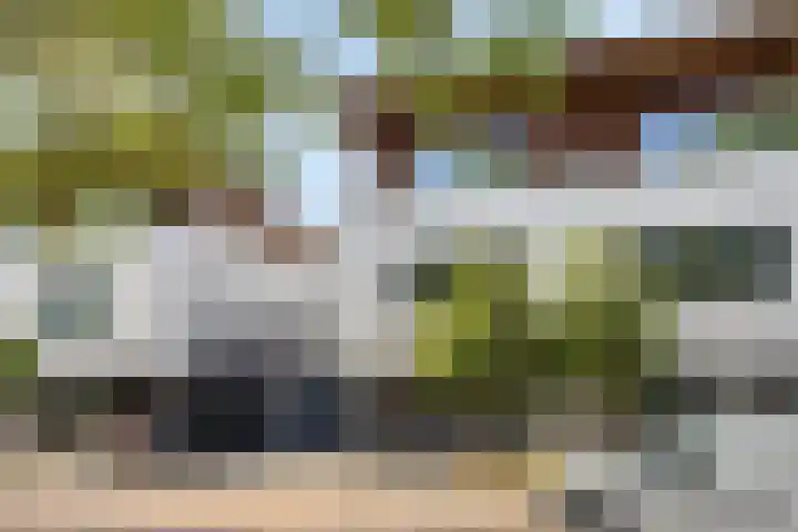 Fluitenkruid 26 's-Hertogenbosch thumbnail 36