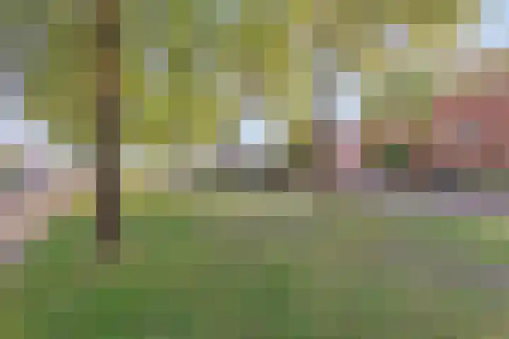 Fluitenkruid 26 's-Hertogenbosch thumbnail 38