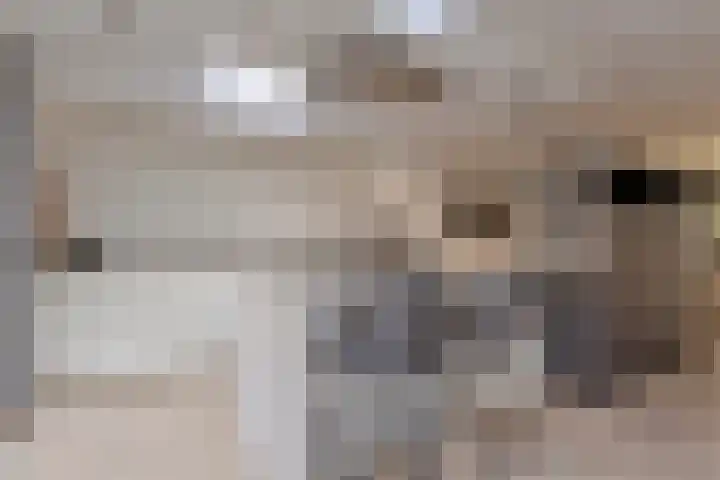 Fluitenkruid 26 's-Hertogenbosch thumbnail 5