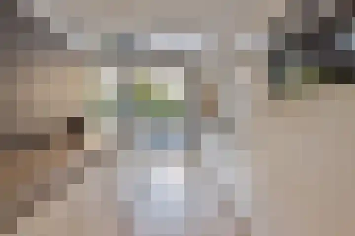 Fluitenkruid 26 's-Hertogenbosch thumbnail 9