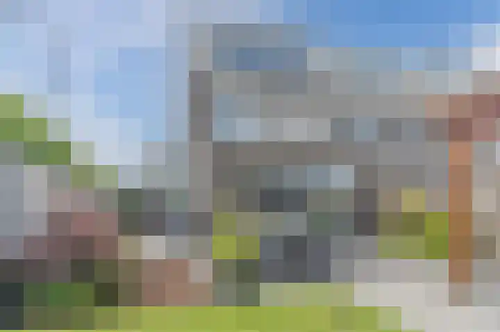 Fluitenkruid 35 Gorinchem thumbnail 55