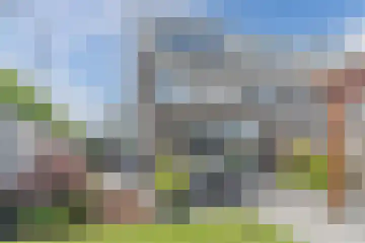 Fluitenkruid 35 Gorinchem thumbnail 56