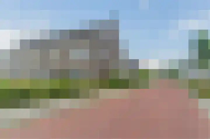 Fluitenkruid 35 Gorinchem thumbnail 63