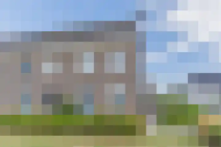 Fluitenkruid 35 Gorinchem thumbnail 65