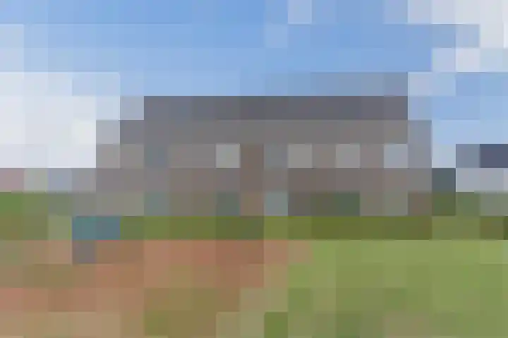 Fluitenkruid 35 Gorinchem thumbnail 68
