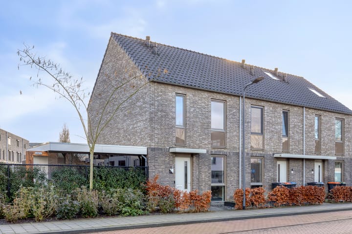 Fluitenkruid 39 in 's-Hertogenbosch Foto