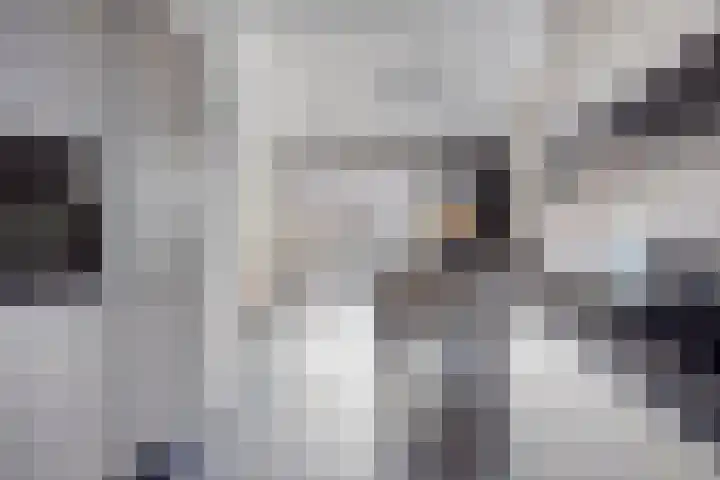 Fluitenkruid 39 's-Hertogenbosch thumbnail 10