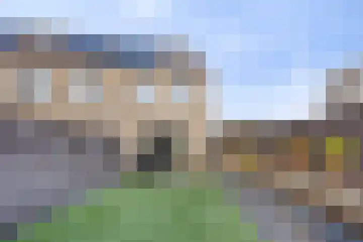 Fluitenkruid 39 's-Hertogenbosch thumbnail 12
