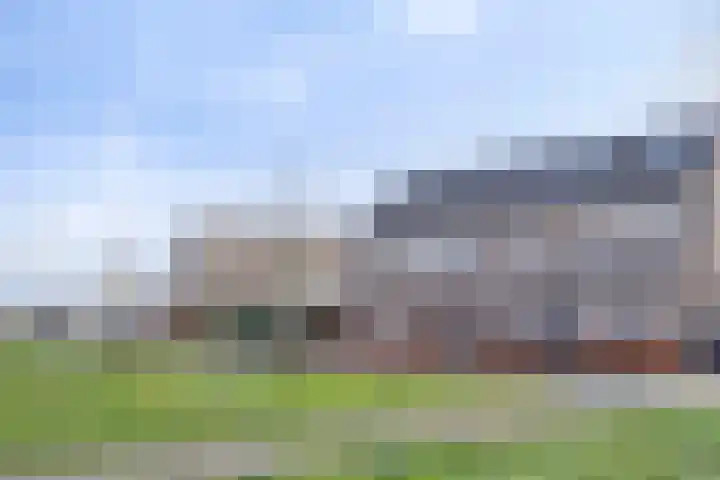 Fluitenkruid 39 's-Hertogenbosch thumbnail 23