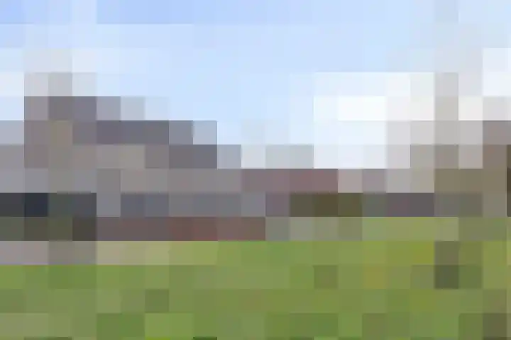 Fluitenkruid 39 's-Hertogenbosch thumbnail 24