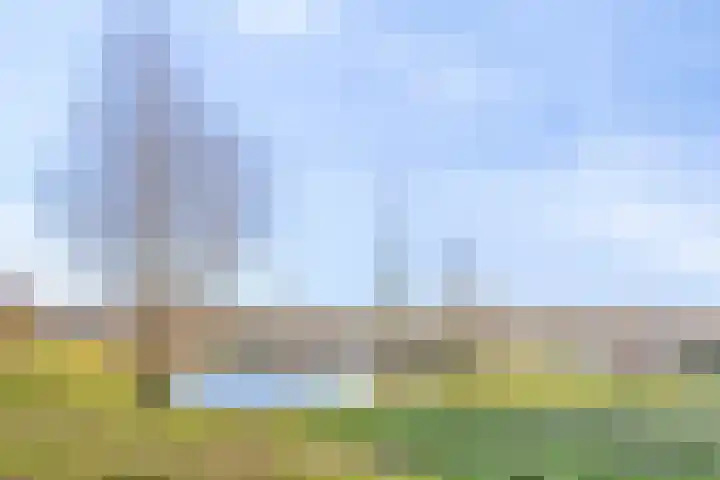 Fluitenkruid 39 's-Hertogenbosch thumbnail 25