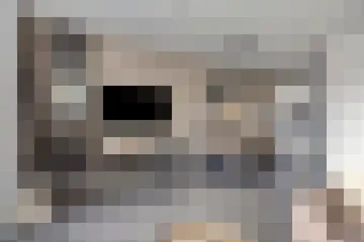 Fluitenkruid 39 's-Hertogenbosch thumbnail 6