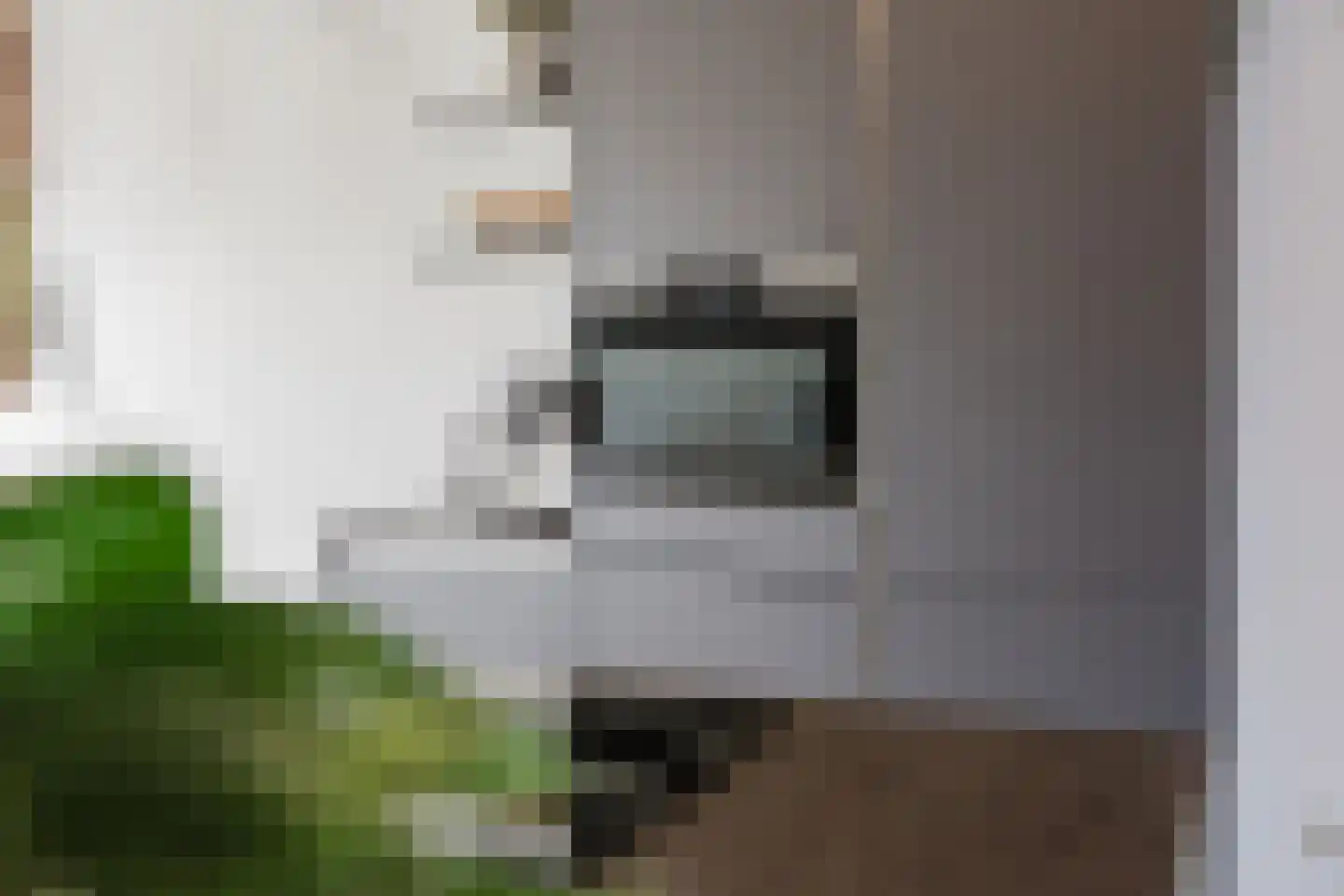 Fluitenkruid 4 Gorinchem thumbnail 10