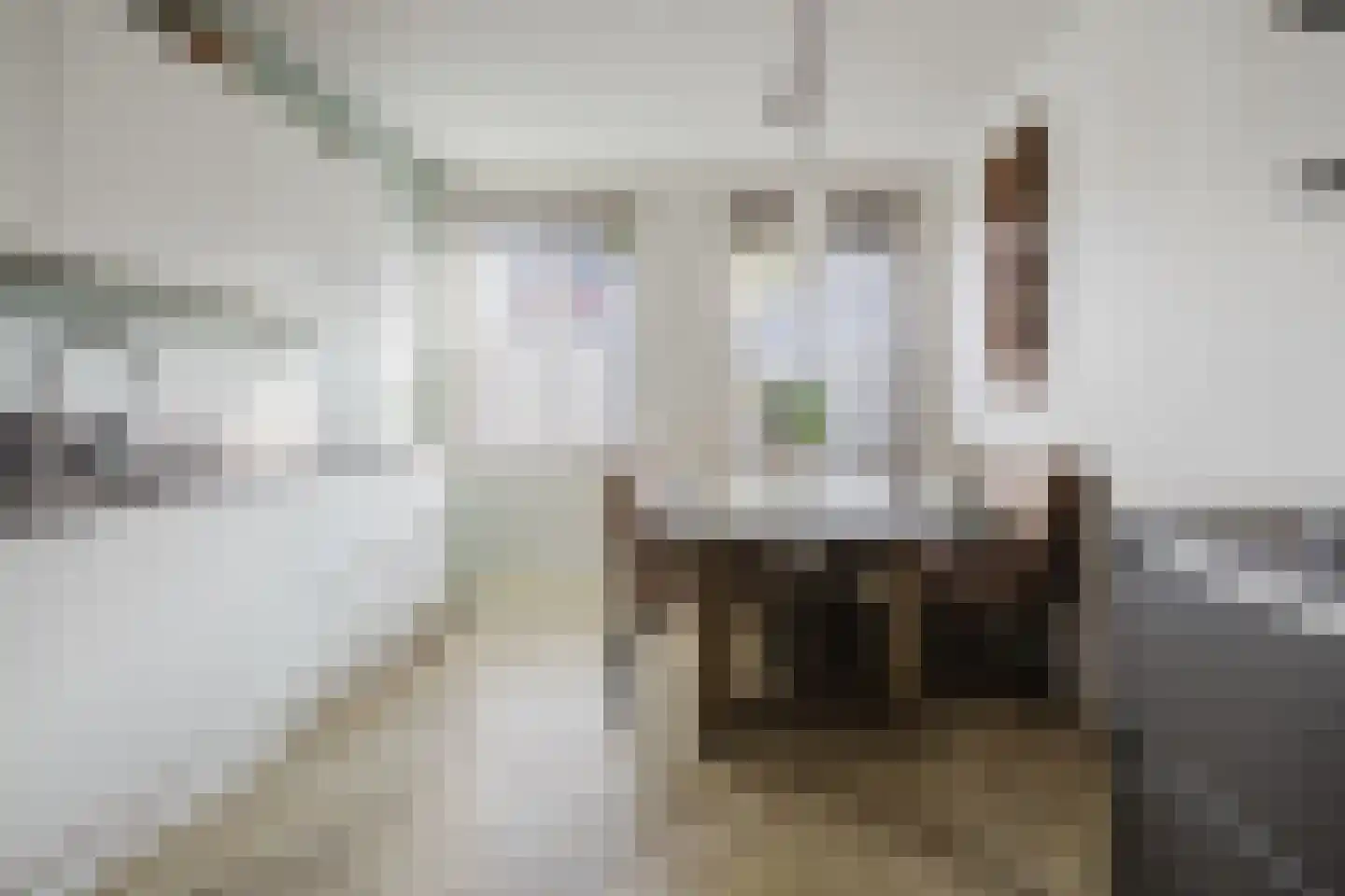 Fluitenkruid 4 Gorinchem thumbnail 11