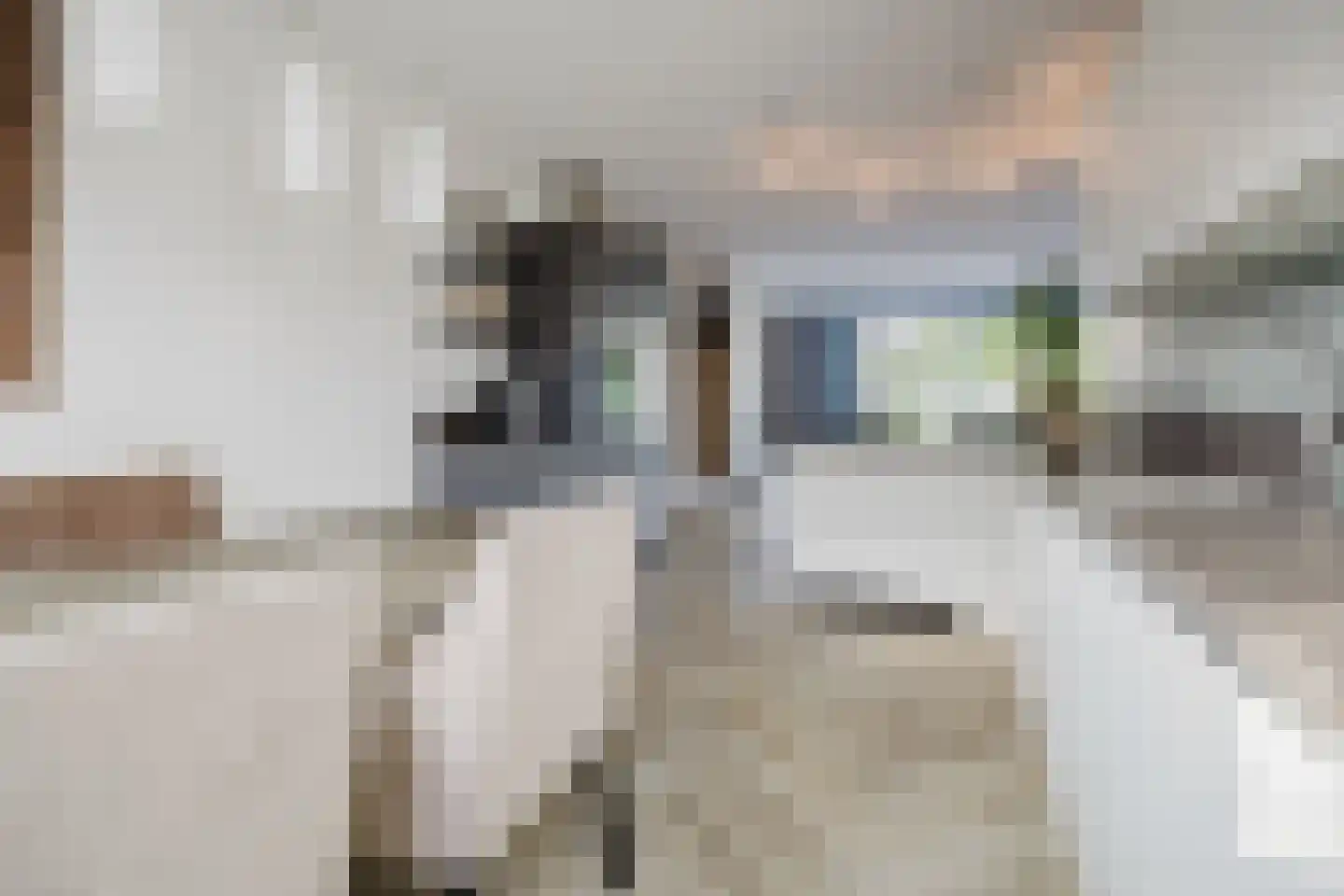 Fluitenkruid 4 Gorinchem thumbnail 15