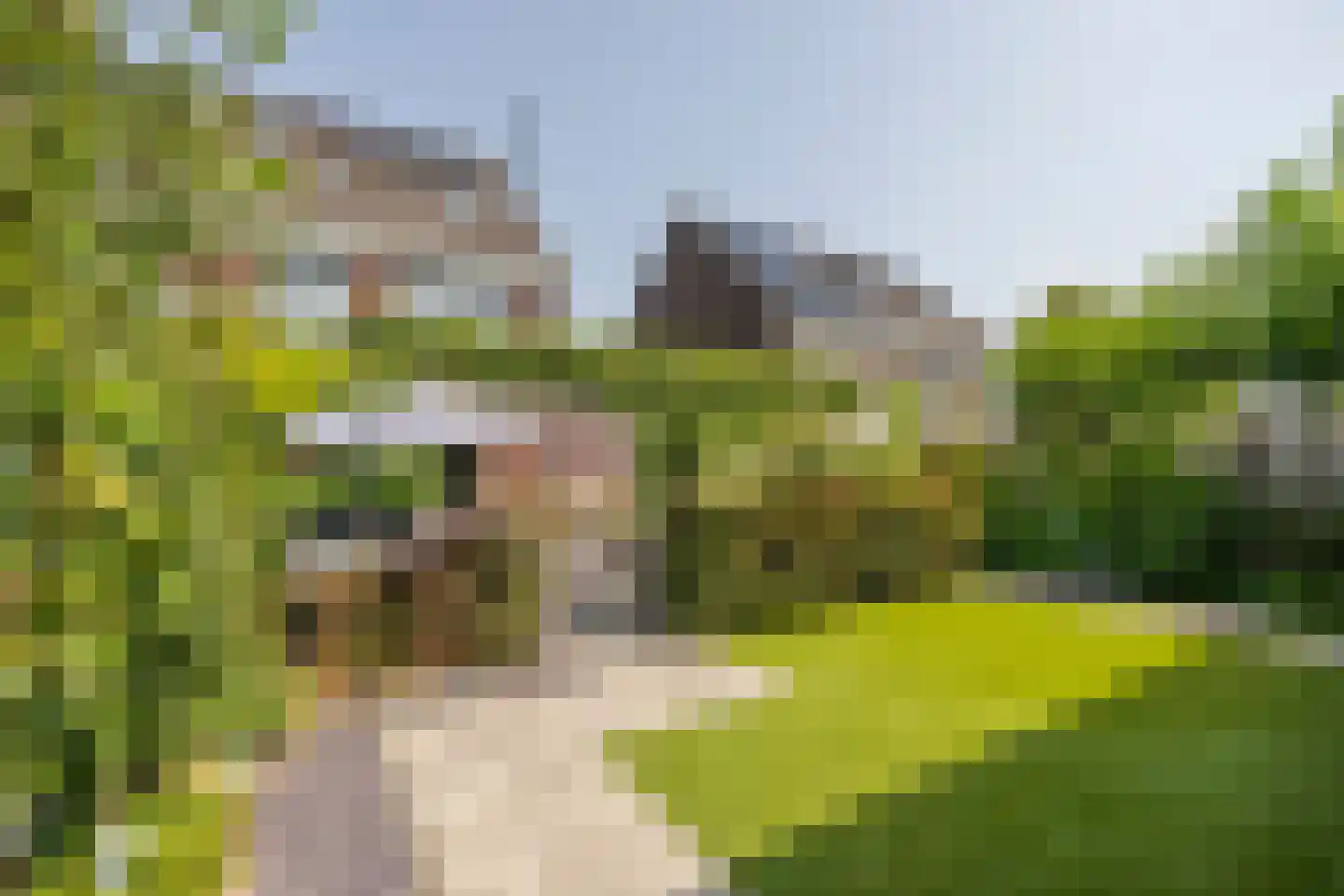 Fluitenkruid 4 Gorinchem thumbnail 17