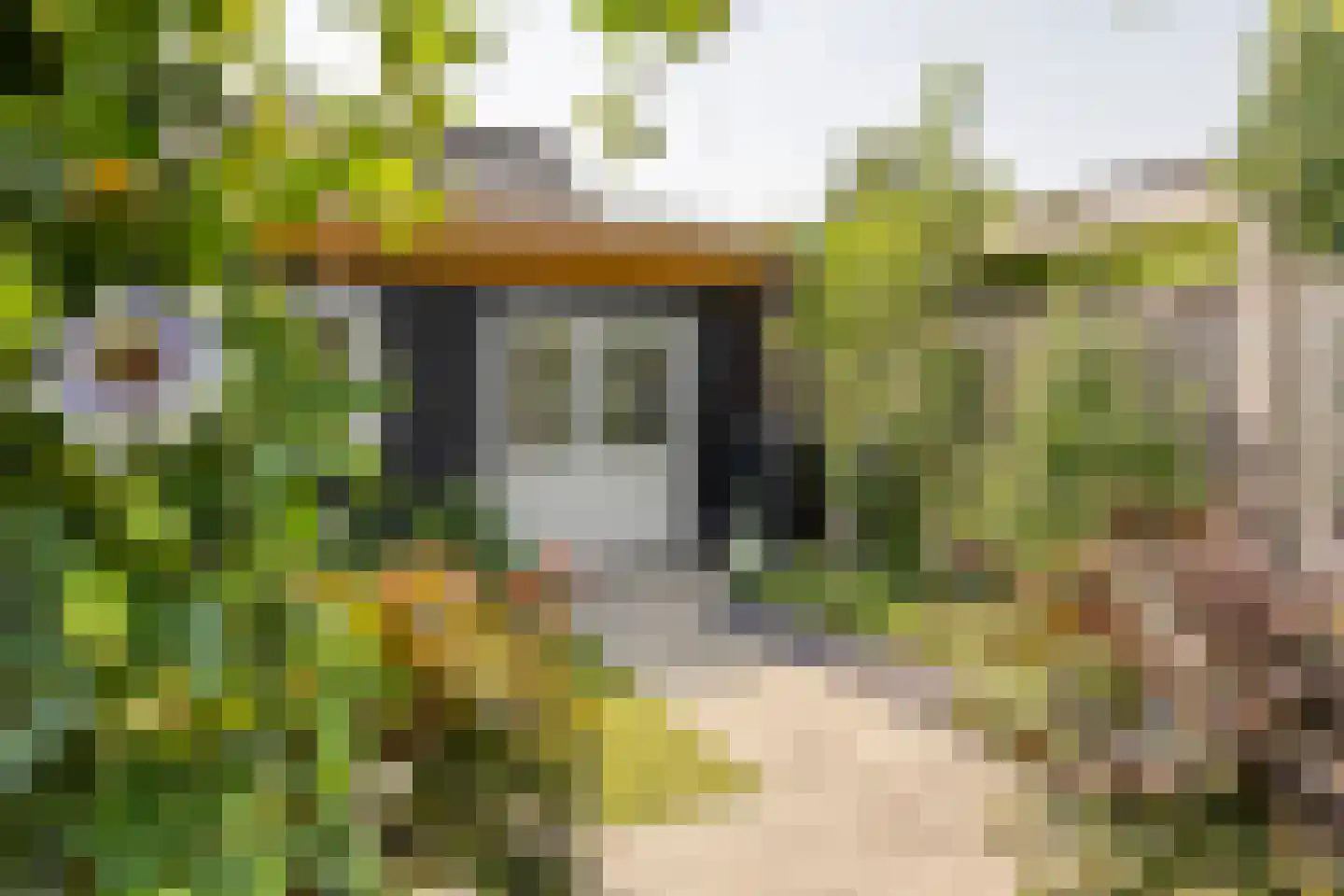 Fluitenkruid 4 Gorinchem thumbnail 18