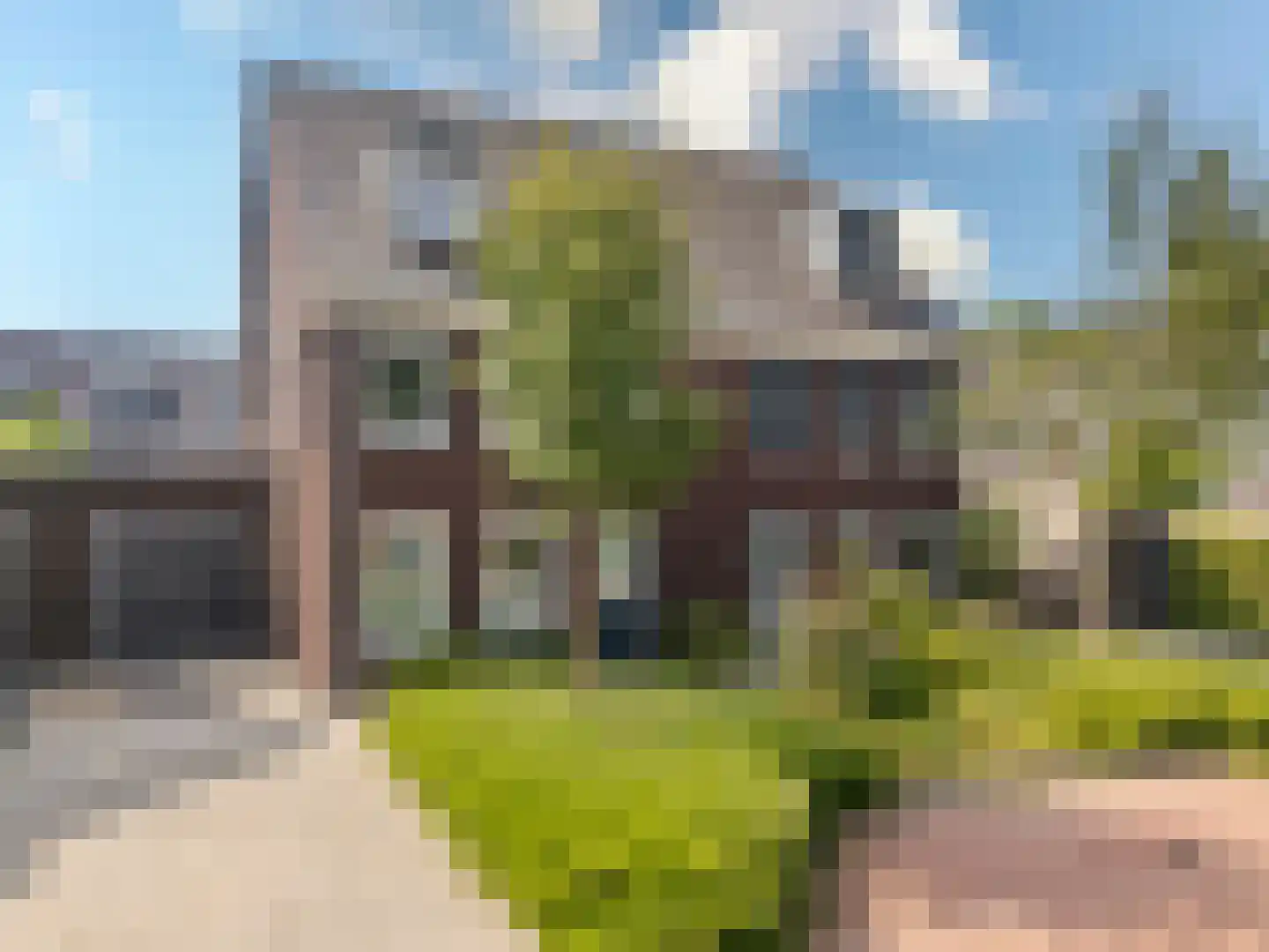 Fluitenkruid 4 Gorinchem foto 2