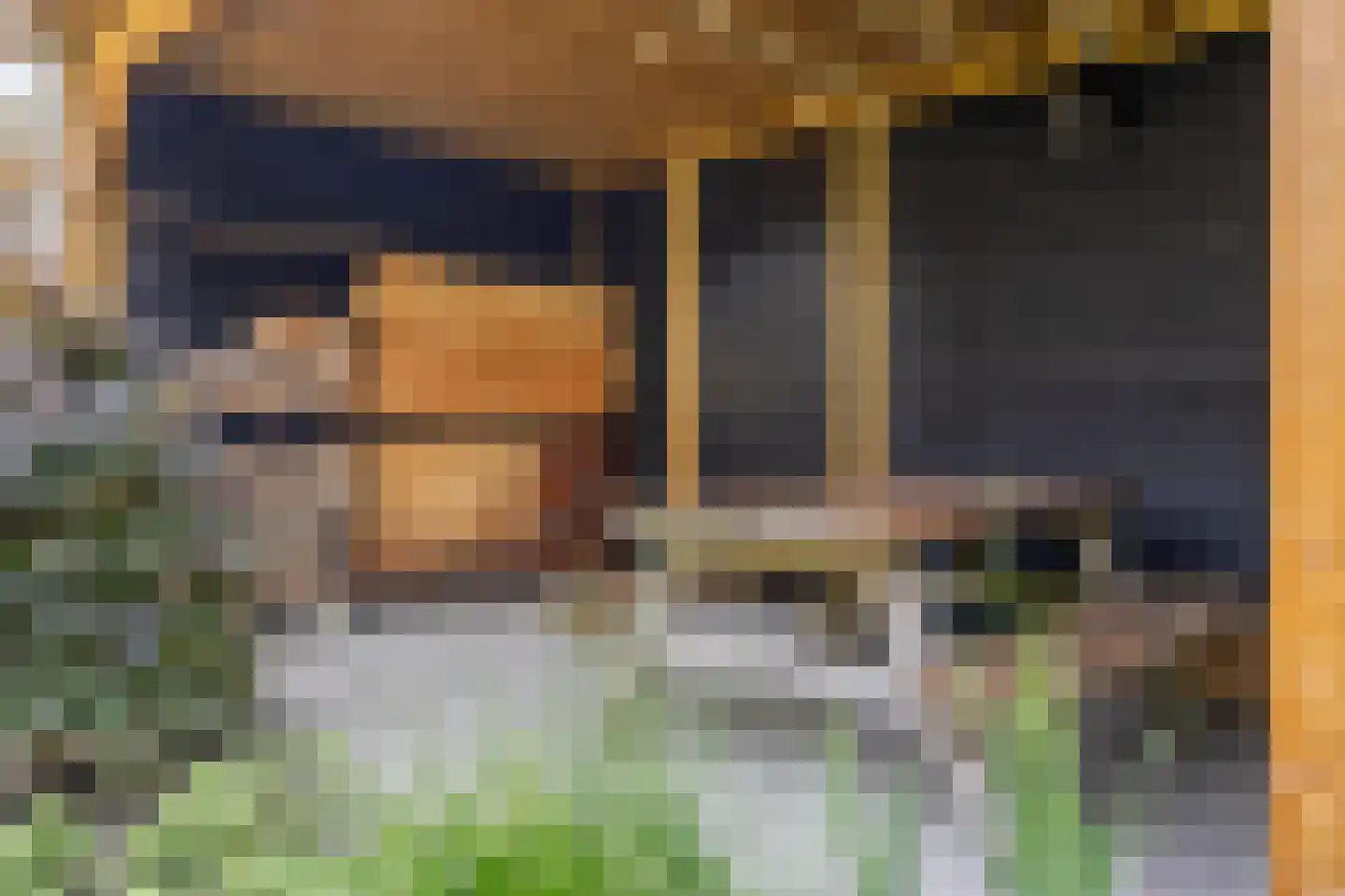 Fluitenkruid 4 Gorinchem thumbnail 20