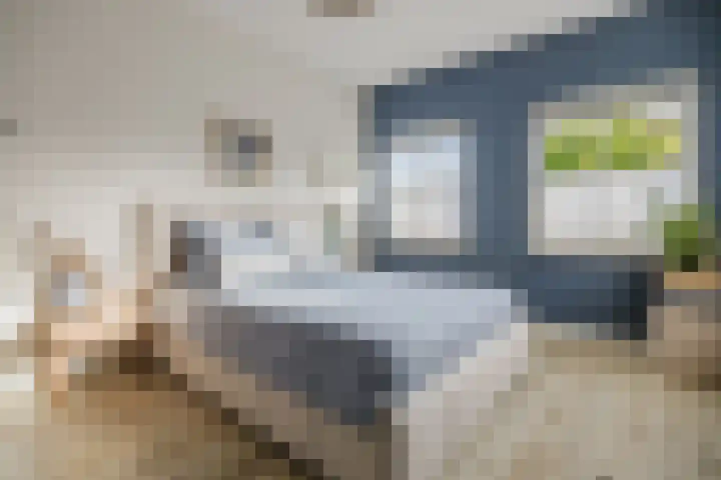 Fluitenkruid 4 Gorinchem thumbnail 24