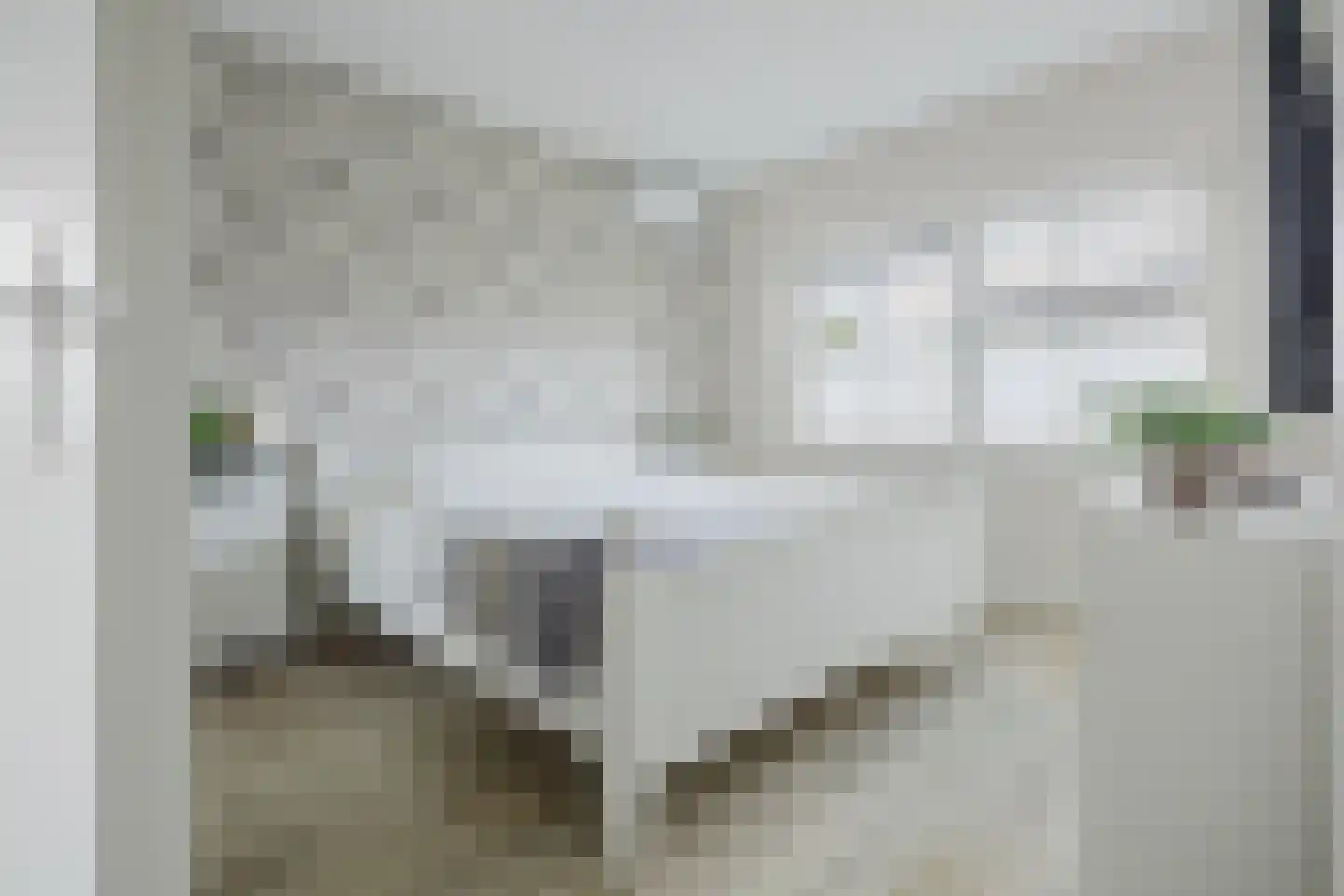 Fluitenkruid 4 Gorinchem thumbnail 30