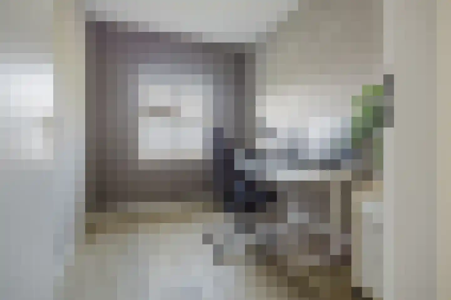 Fluitenkruid 4 Gorinchem thumbnail 32