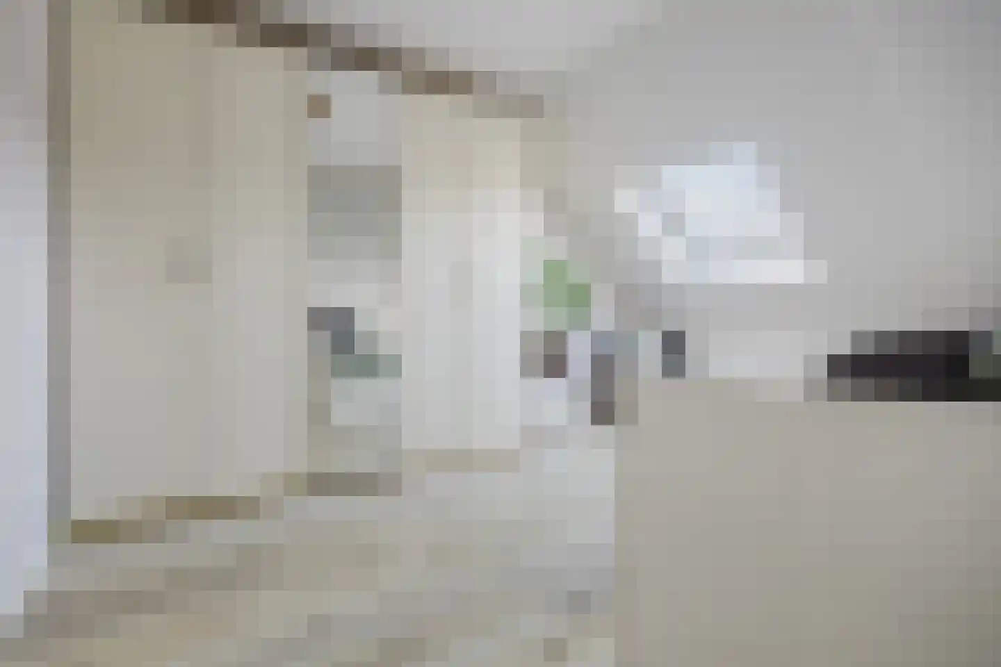 Fluitenkruid 4 Gorinchem thumbnail 37