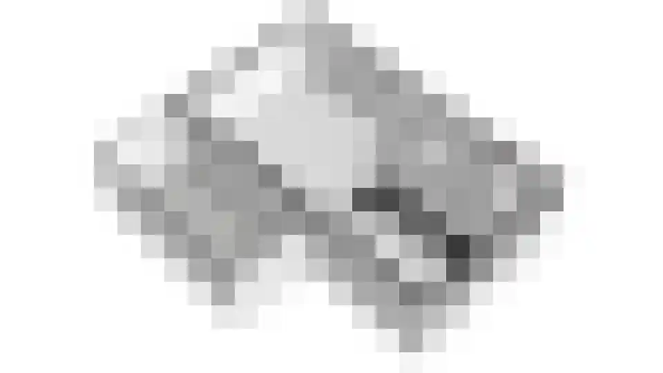 Fluitenkruid 4 Gorinchem thumbnail 41