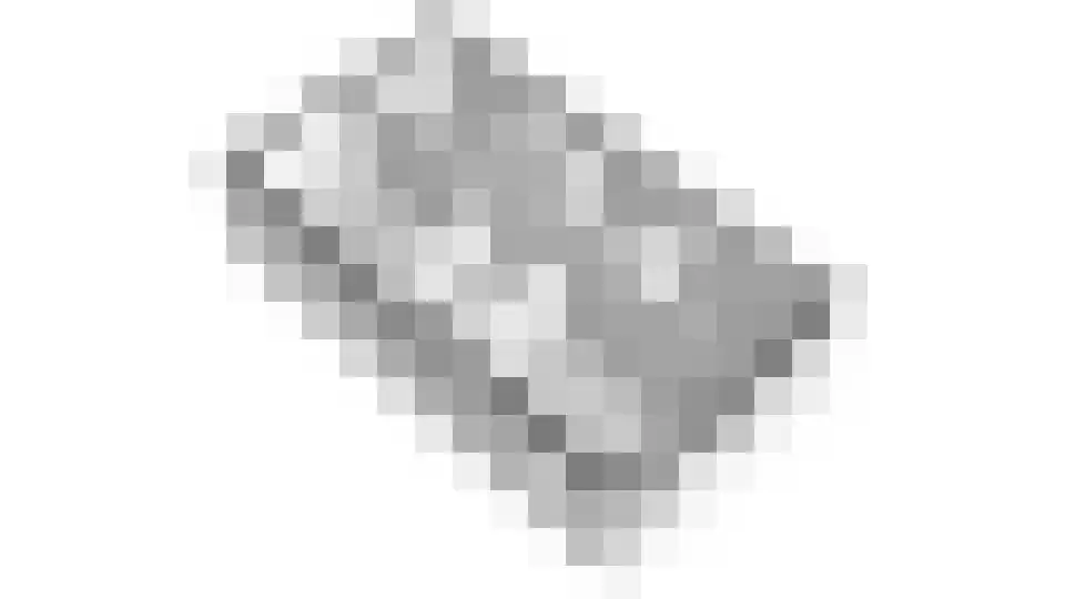 Fluitenkruid 4 Gorinchem thumbnail 43