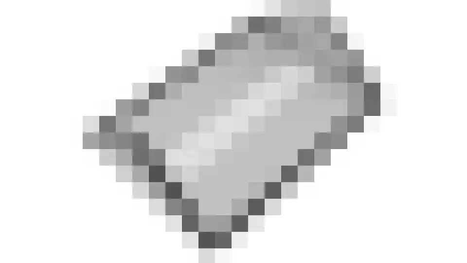 Fluitenkruid 4 Gorinchem thumbnail 47