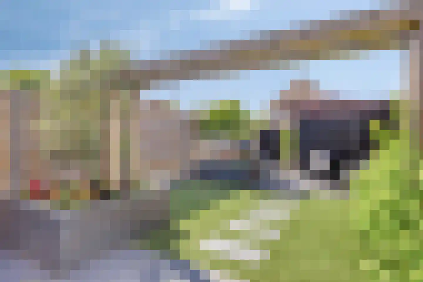 Fluitenkruid 40 's-Hertogenbosch thumbnail 23